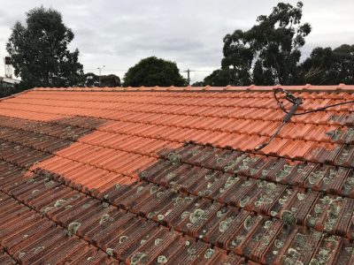 roof service melbourne